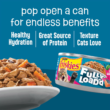Friskies Fully Load’d Salmon-3
